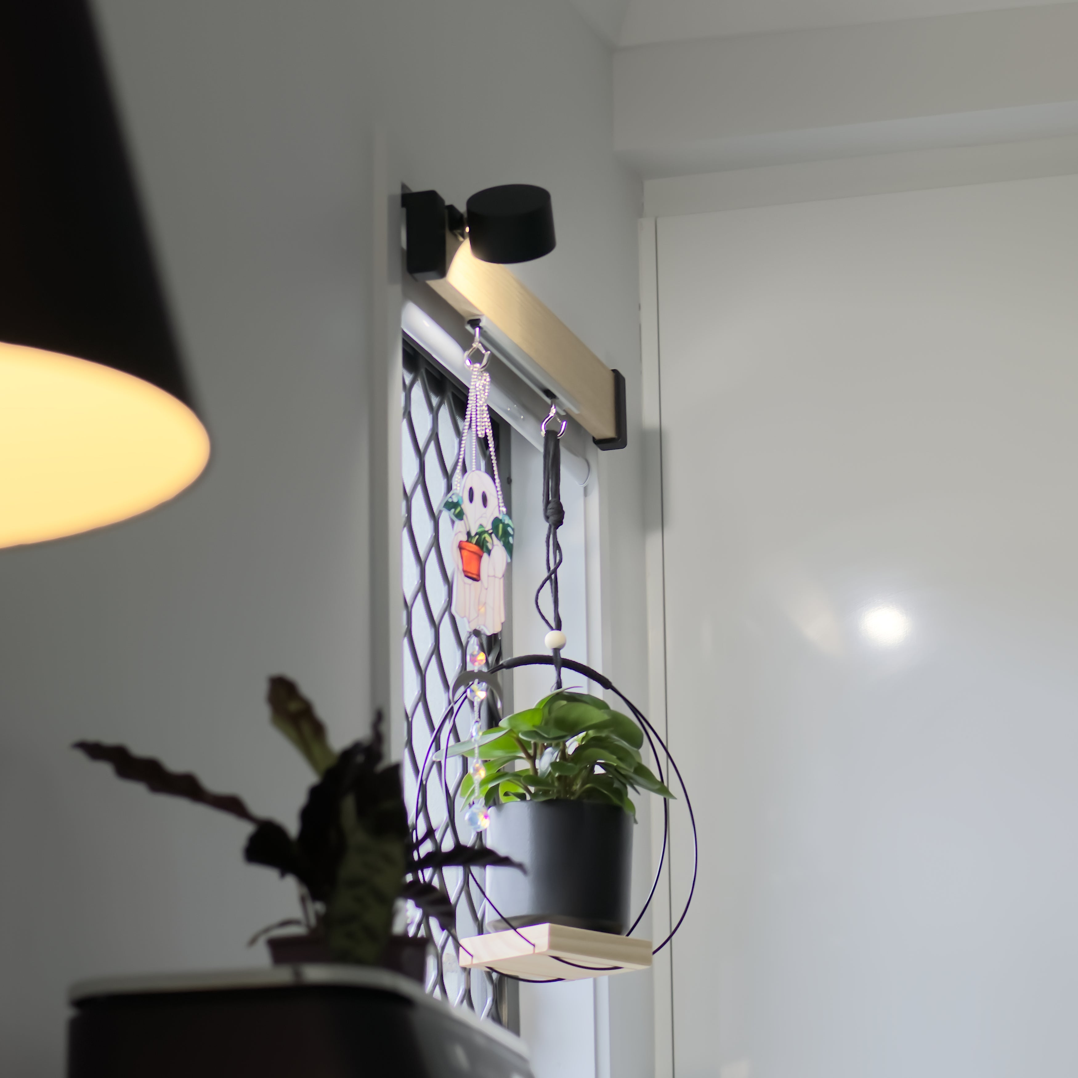 Modern Roller Blind Pelmets – Tasmanian Oak & Designer Finishes