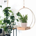 Halo Hanging Plant Shelf.