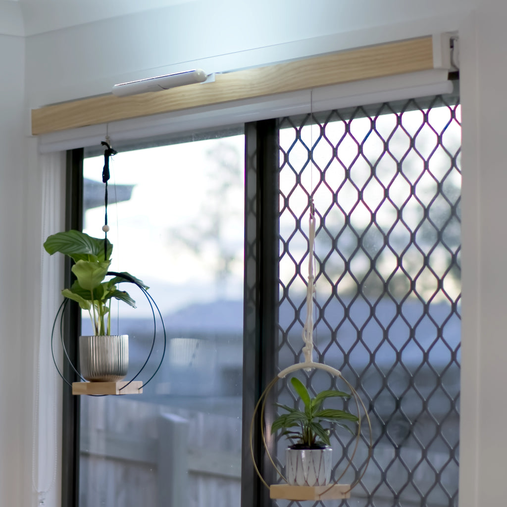 Halo Hanging Plant Shelf.