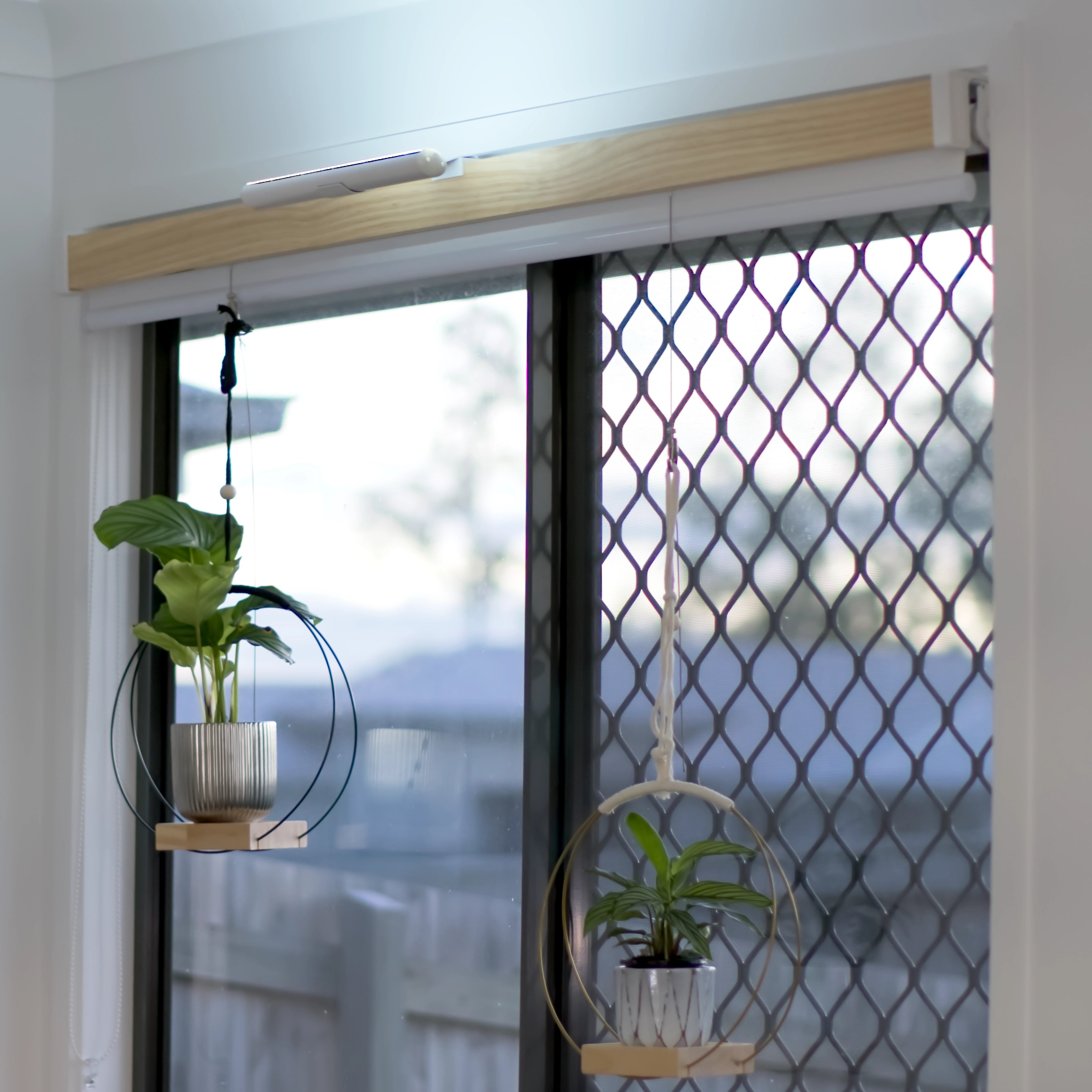 Halo Hanging Plant Shelf.