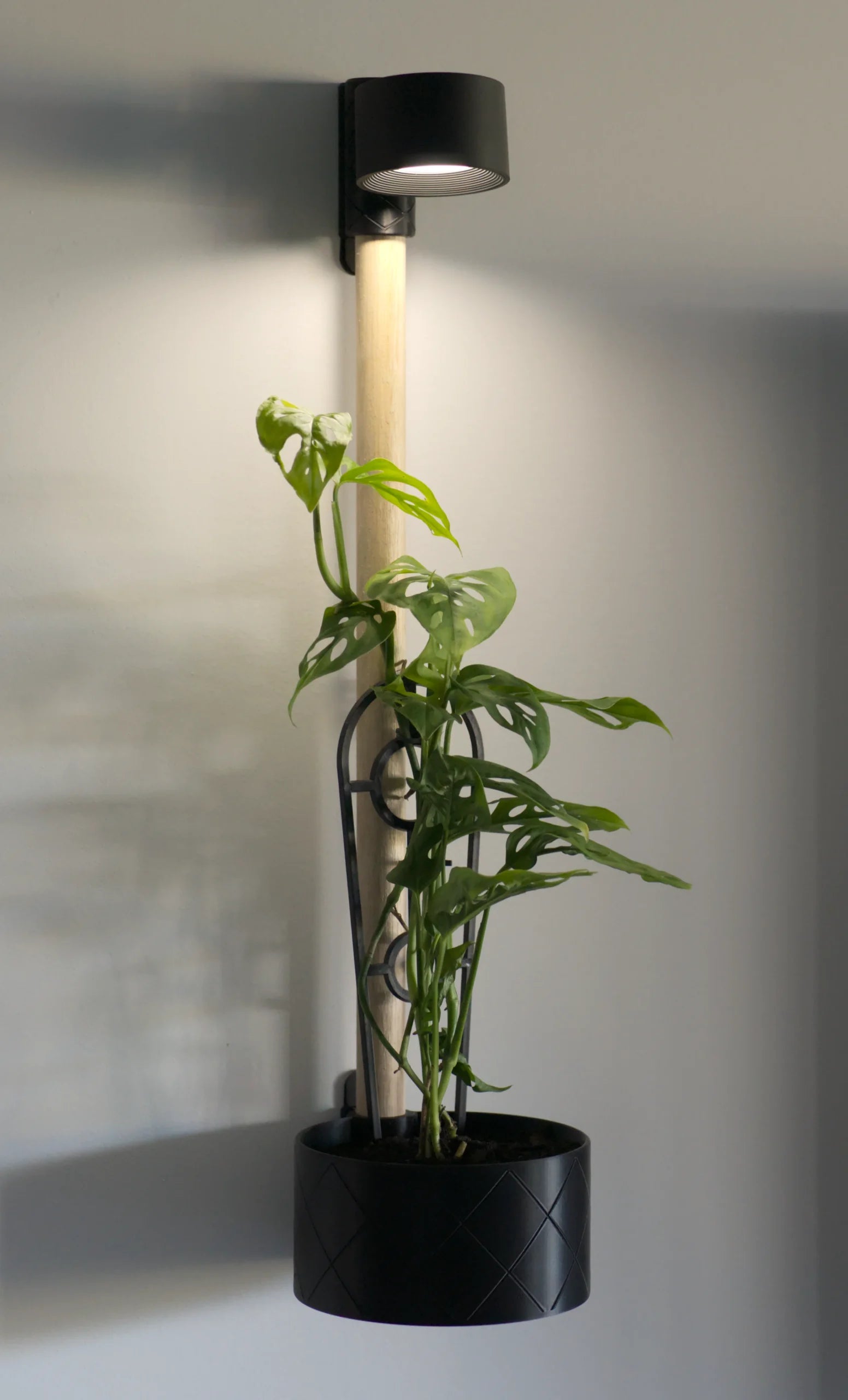 Wall Planter with LED Light | Modern Black Indoor Planter.