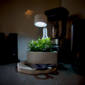 Modern Indoor Planter with LED Light.